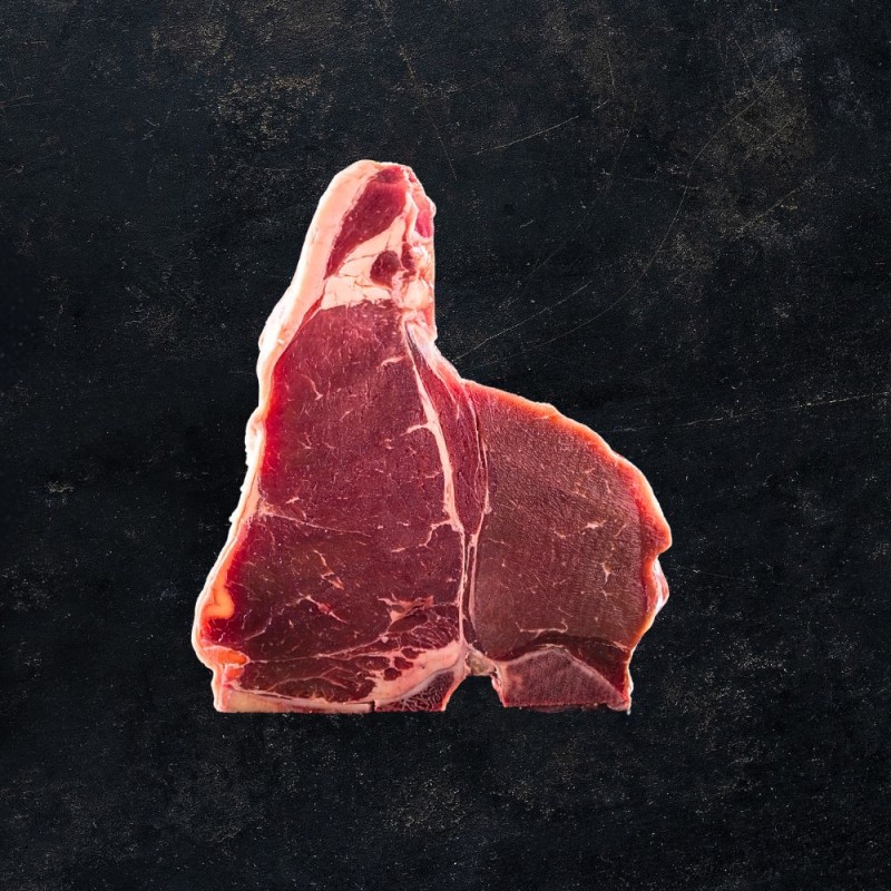 Fiorentina Anojo d'Aragona - circa 1.4kg