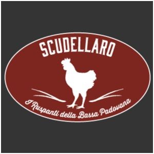 Scudellaro